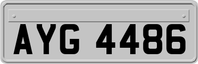 AYG4486