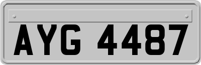 AYG4487