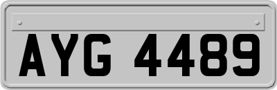 AYG4489