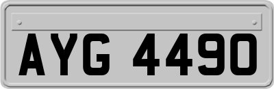 AYG4490