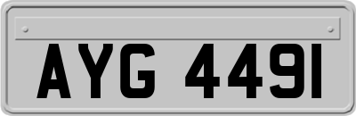 AYG4491