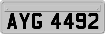 AYG4492