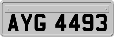AYG4493