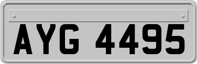 AYG4495