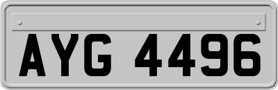 AYG4496
