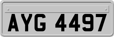 AYG4497