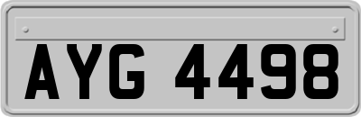 AYG4498