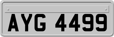 AYG4499