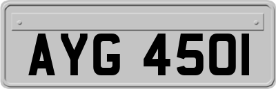 AYG4501
