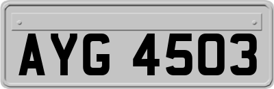 AYG4503