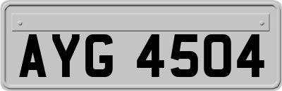 AYG4504