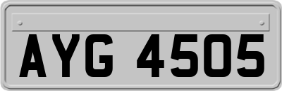 AYG4505