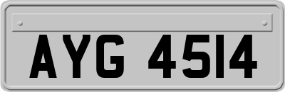 AYG4514