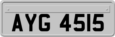 AYG4515