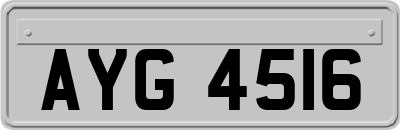 AYG4516
