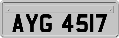 AYG4517