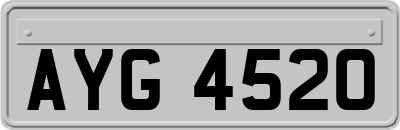 AYG4520