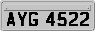 AYG4522