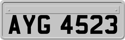 AYG4523