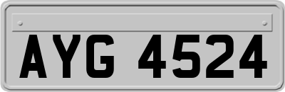 AYG4524