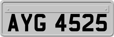 AYG4525