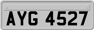 AYG4527
