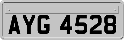 AYG4528