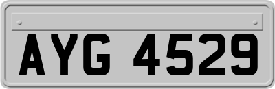 AYG4529