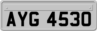 AYG4530