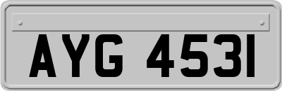 AYG4531