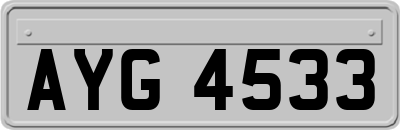 AYG4533