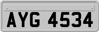 AYG4534