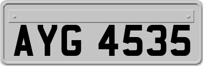 AYG4535