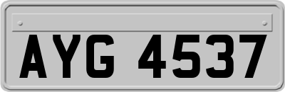 AYG4537