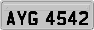 AYG4542