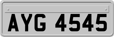 AYG4545