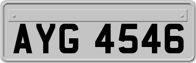 AYG4546