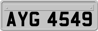 AYG4549