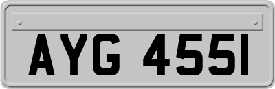 AYG4551