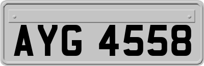 AYG4558