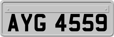 AYG4559