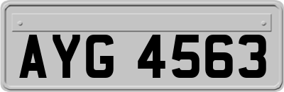 AYG4563