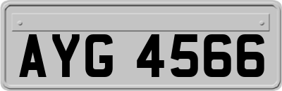 AYG4566