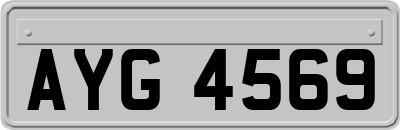 AYG4569