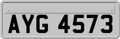 AYG4573