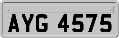 AYG4575