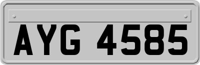 AYG4585