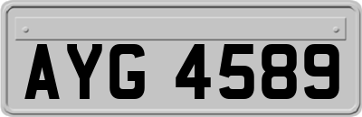 AYG4589