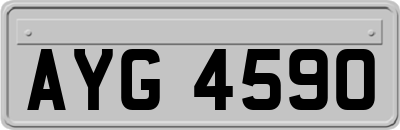 AYG4590