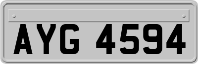 AYG4594